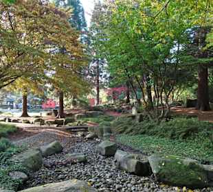 Im Japanischen Garten von "Planten un Blomen"
