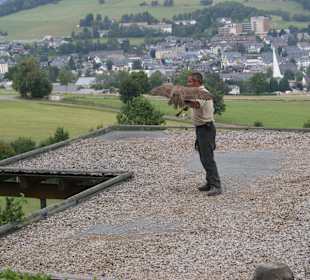 Wild- und Freizeitpark Willingen