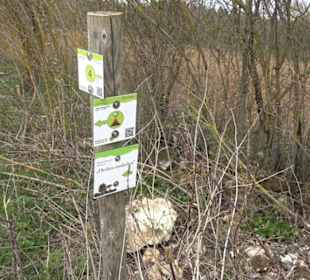Heckenerlebnispfad Apfelstetten