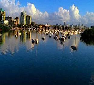 Rundflug über Miami