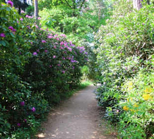 Im Park