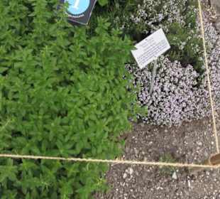 FIFA World Football Museum