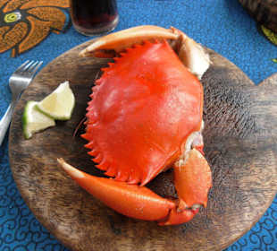 Unser Mittagessen! lecker