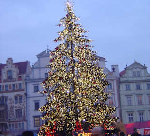 Weihnachtsbaum