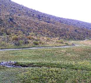 Cotopaxi Nationalpark