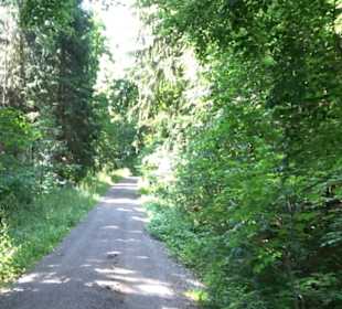 Premiumspazierweg Früchtetrauf-Leisawegle