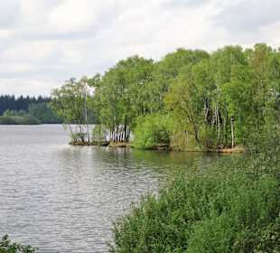 Impressionen von der Thülsfelder Talsperre