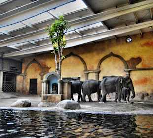 Tierpark Hagenbeck
