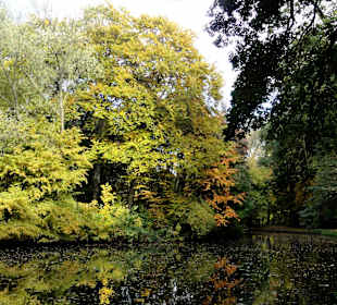 Herbstspaziergang durch den Bürgerpark Bremen