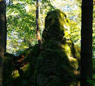 Wanderung zum Signalstein Fränk.Schweiz