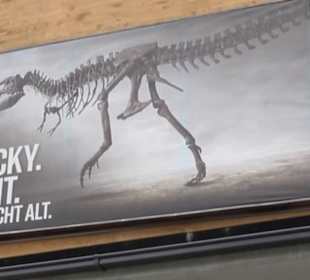 Dinosaurier Museum Altmühltal