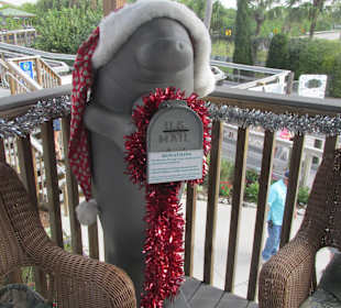 Weihnachtsmanatee