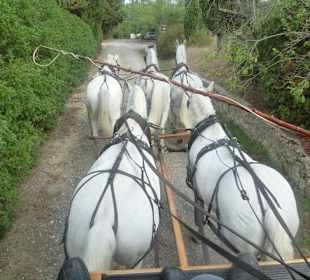 Mit 5 PS durch die unberührte Landschaft