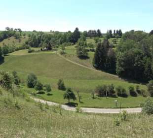 Burg Kräheneck Reusten