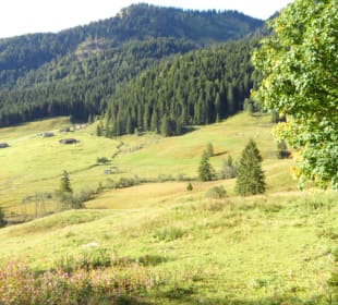 Ausblick Bilder Berggasthof Willy Merkl Haus Spitzingsee Holidaycheck