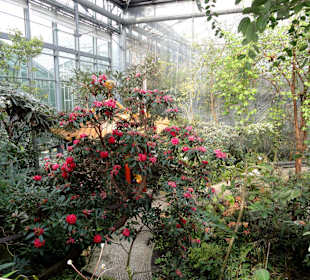 Impressionen aus den Gewächshäusern