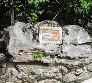Xcaret