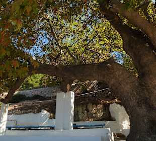 Der Süden bei Kefalos