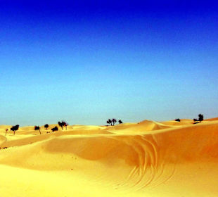 Sand soweit das Auge reicht