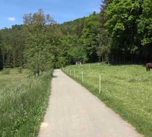 Römische Wasserleitung Obernau