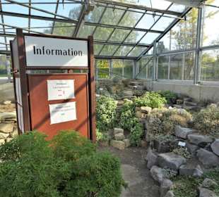 Impressionen aus dem Botanischen Garten Osnabrück