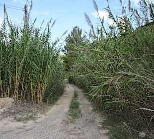 Am Parkplatz beginnt der Weg ins Hinterland