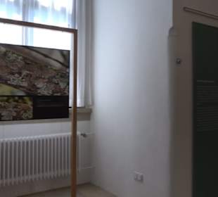 Museum für Ur- und Frühgeschichte