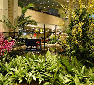 Changi Airport