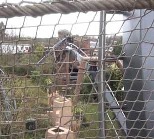 Deep in Africa - Black Mamba