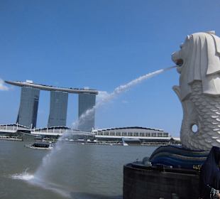 Der Löwe das Wahrzeichen von Singapore