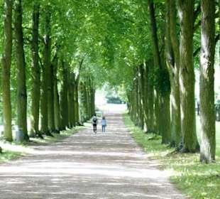 Schlosspark Sanssouci