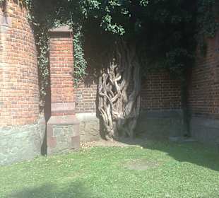 Zámecký park Hradec nad Moravi a co dokáže příroda