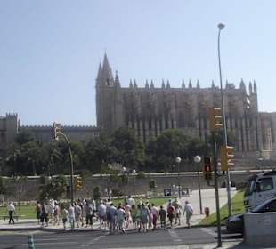 Aussicht auf die La Seu