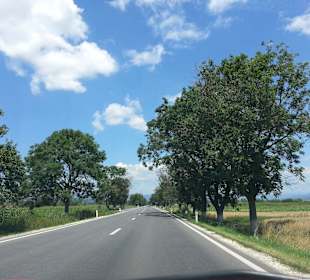 Valea Mureșului / Mureș-Tal 