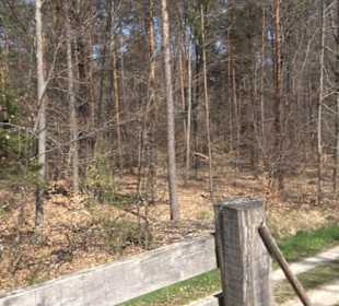 Waldkulturerbe Neuweiler Viehweide