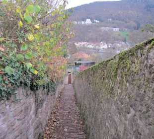Schlangenweg zum Philosophenweg