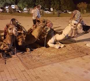 Stadtrundgang Manavgat - Kizilagac