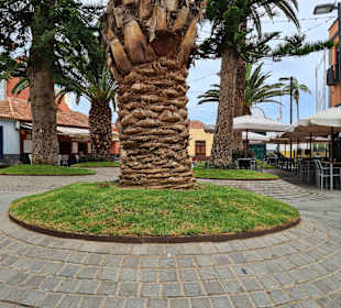 Wandern Puerto de la Cruz