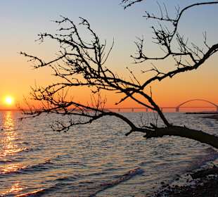 Strand Fehmarn