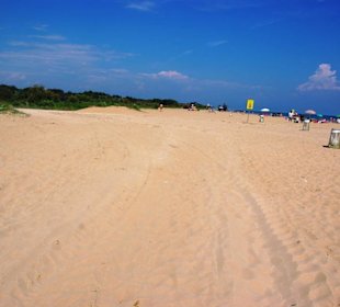 Freier Hundebereich kostenlos