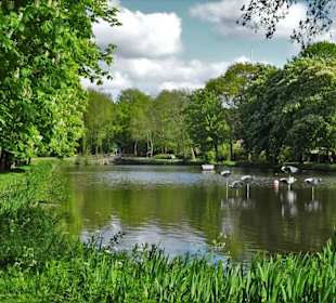 Impressionen vom Rundgang um die Gateteiche