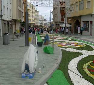 Alfomnras florales Burela
