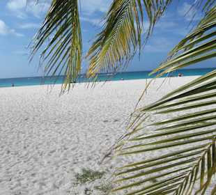 Traumstrand auf Aruba