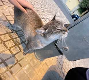 Strandpromenade Paguera