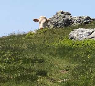 Wandern Wolfsberg