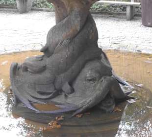 Weltvogelpark Walsrode