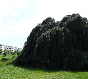 Höhenpark Killesberg