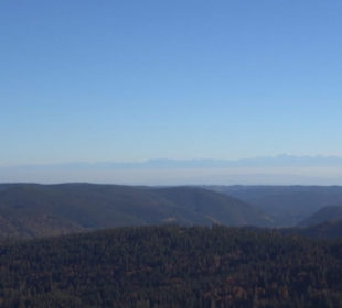 Feldbergturm