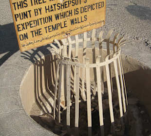 Tempel der Hatschepsut