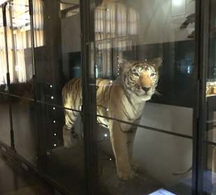Naturkundemuseum